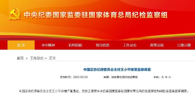 亚洲精品国产v片在线观看