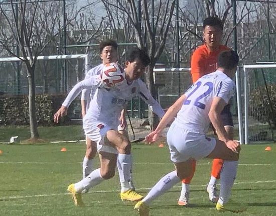 桃花久久
