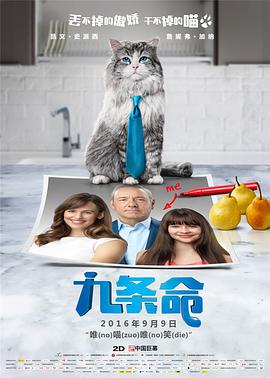 幕后策划的噩梦