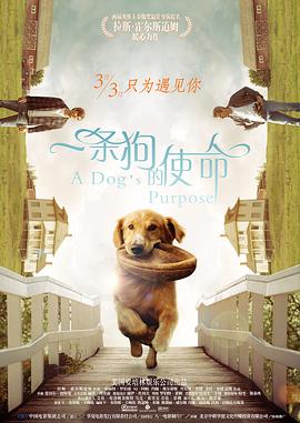 禁止海边爱