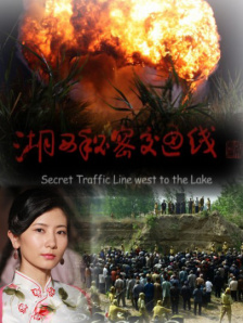 99久久久国产精品免费播放器