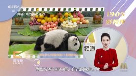 欢乐颂4免费播放高清视频